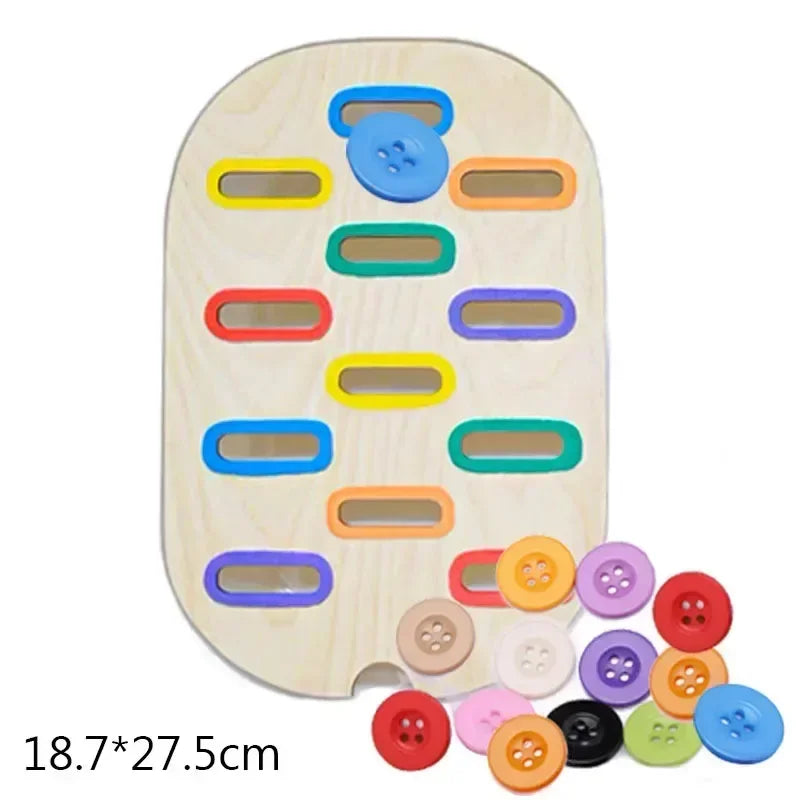 Acorn Bloom Sensory Sort