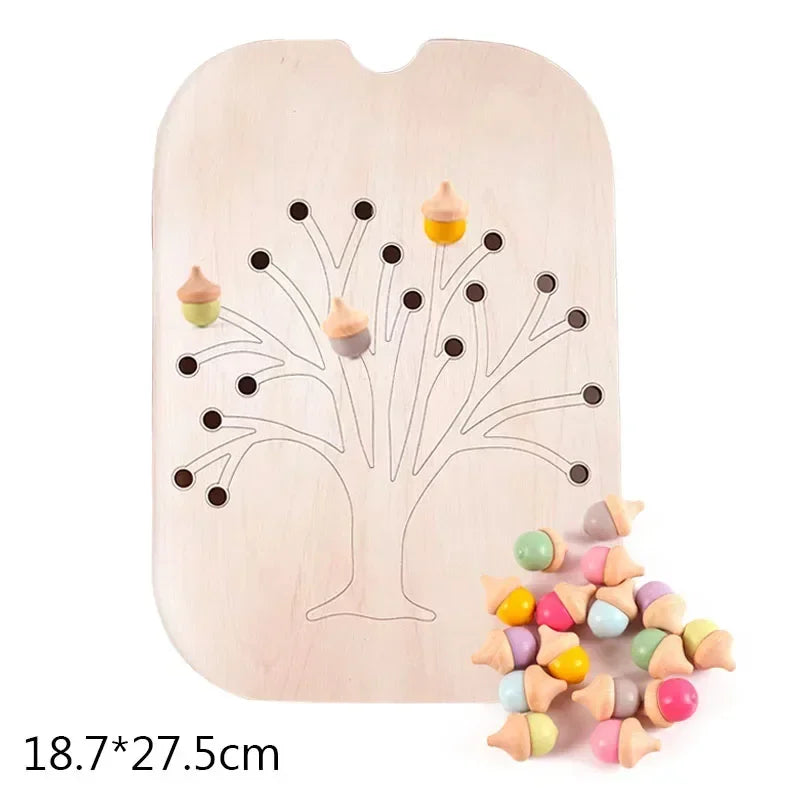 Acorn Bloom Sensory Sort