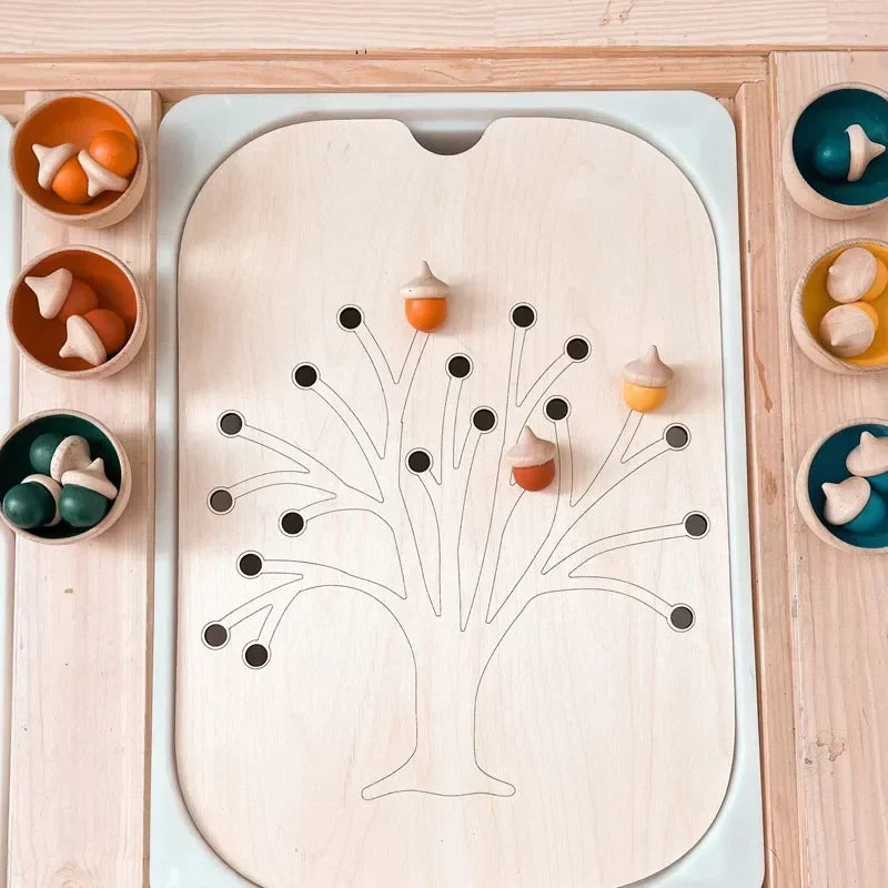 Acorn Bloom Sensory Sort